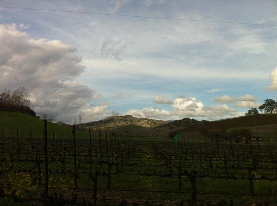 Blue Victorian Vineyards-费尔菲尔德必去景点