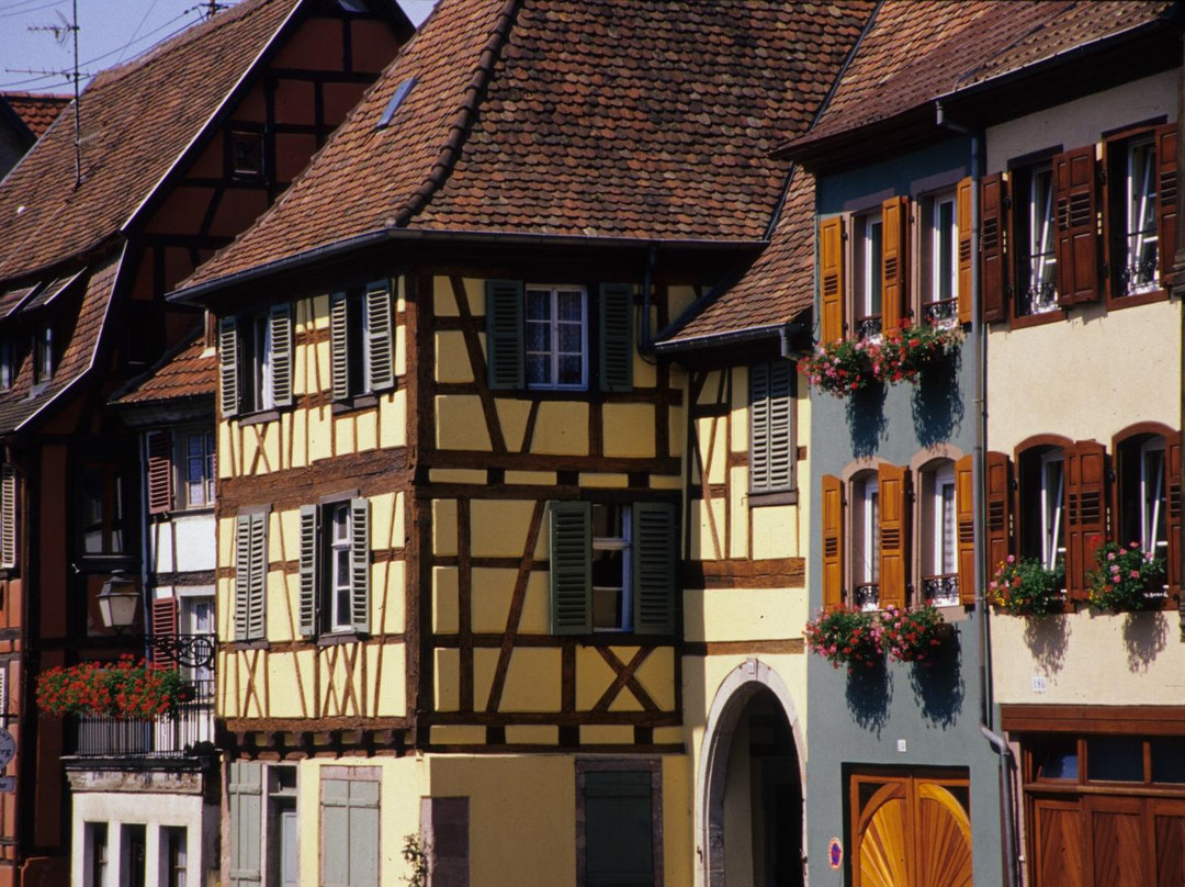 La Rose des Vins Private Tours-斯特拉斯堡必去景点