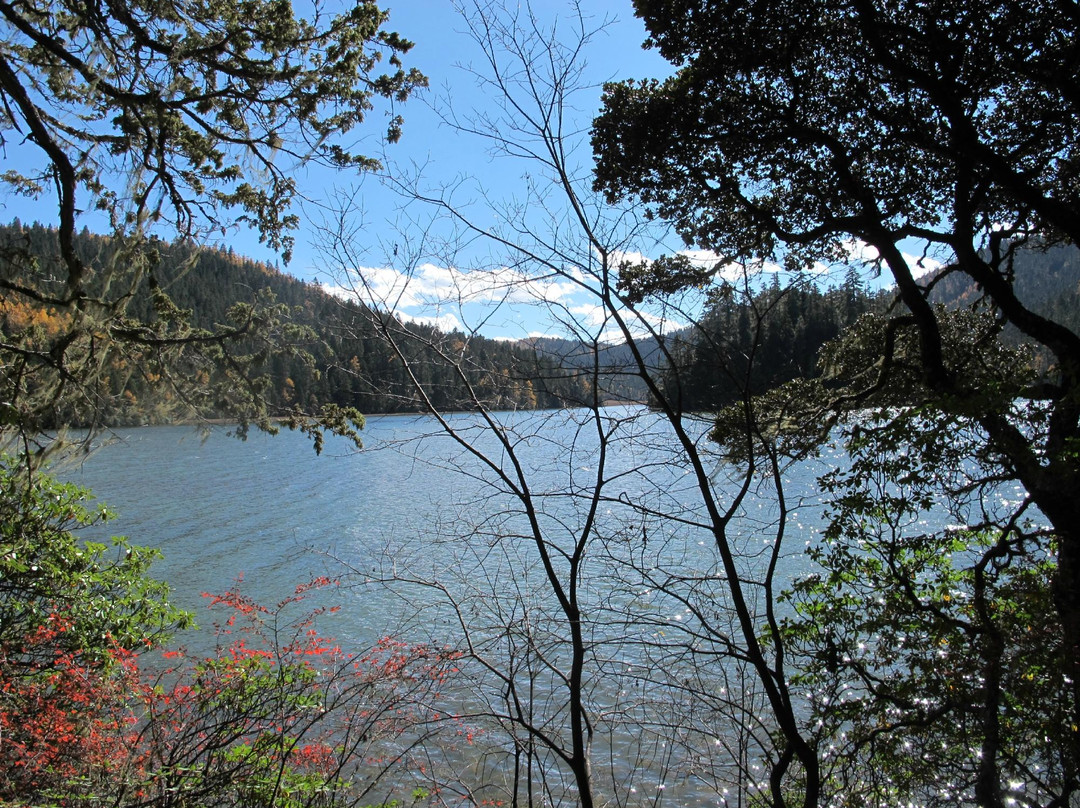 碧塔海自然保护区-香格里拉县必去景点