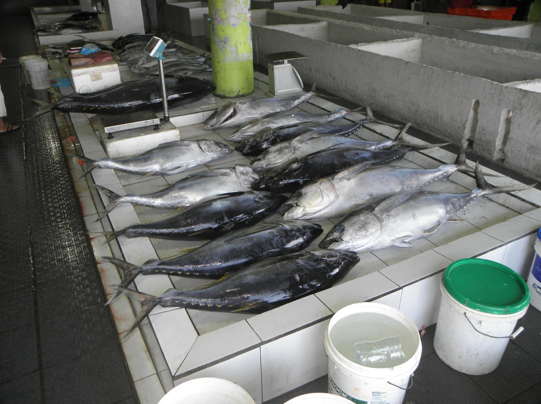 雄鱼市场-马累必去景点