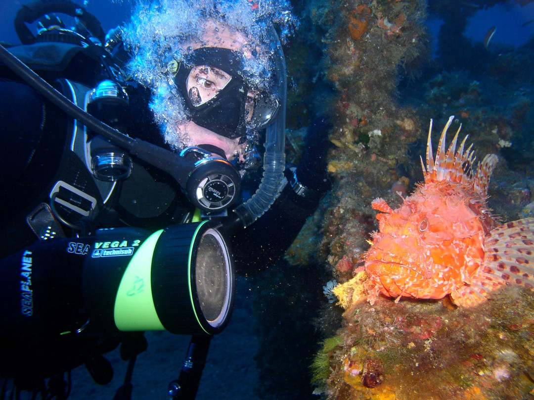Project Diver - Diving Center-圣维托角必去景点