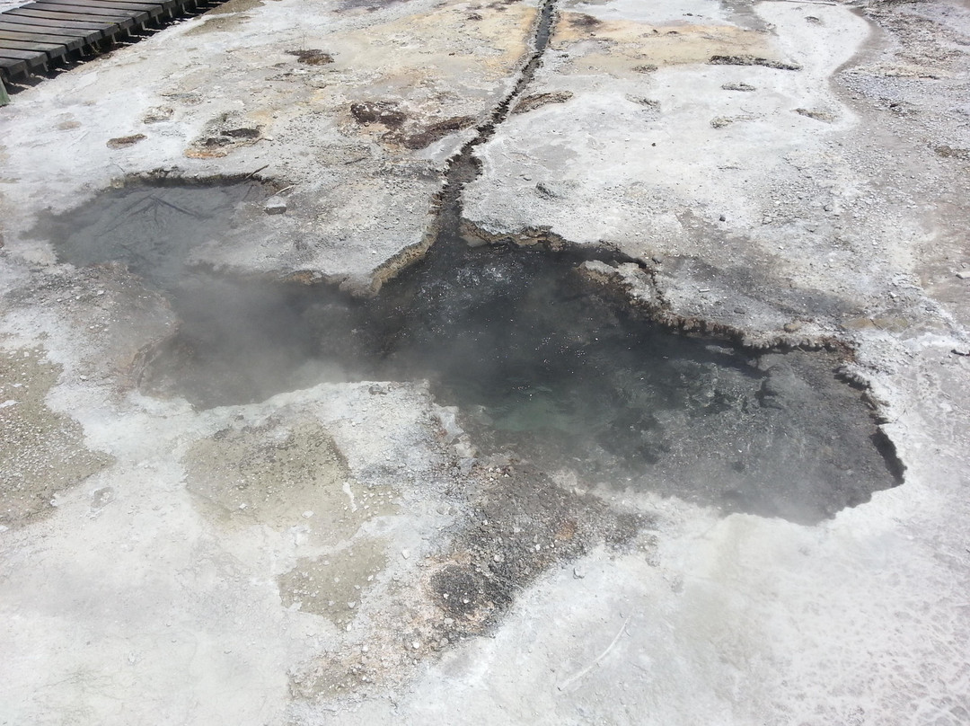 Sulphur Point-罗托鲁瓦必去景点