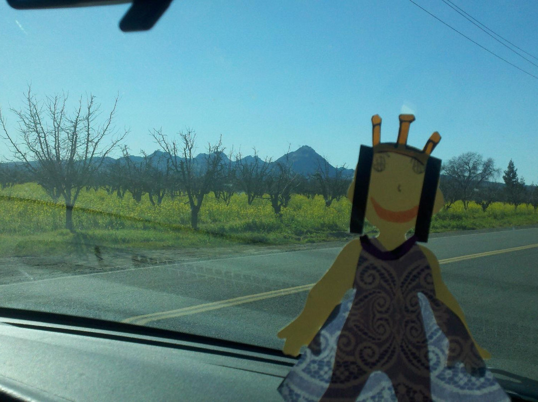 Gray Lodge Wildlife Area-Gridley必去景点