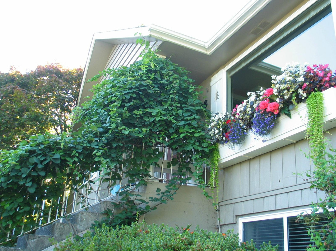 Above The Sound Bed and Breakfast主图