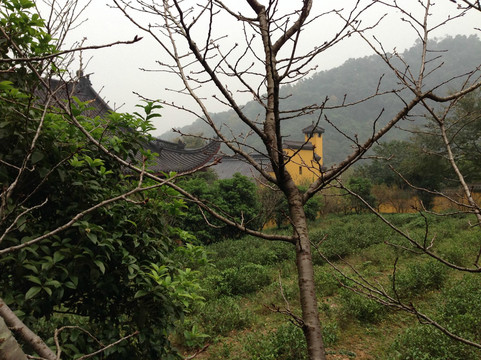 杭州永福寺-杭州市必去景点