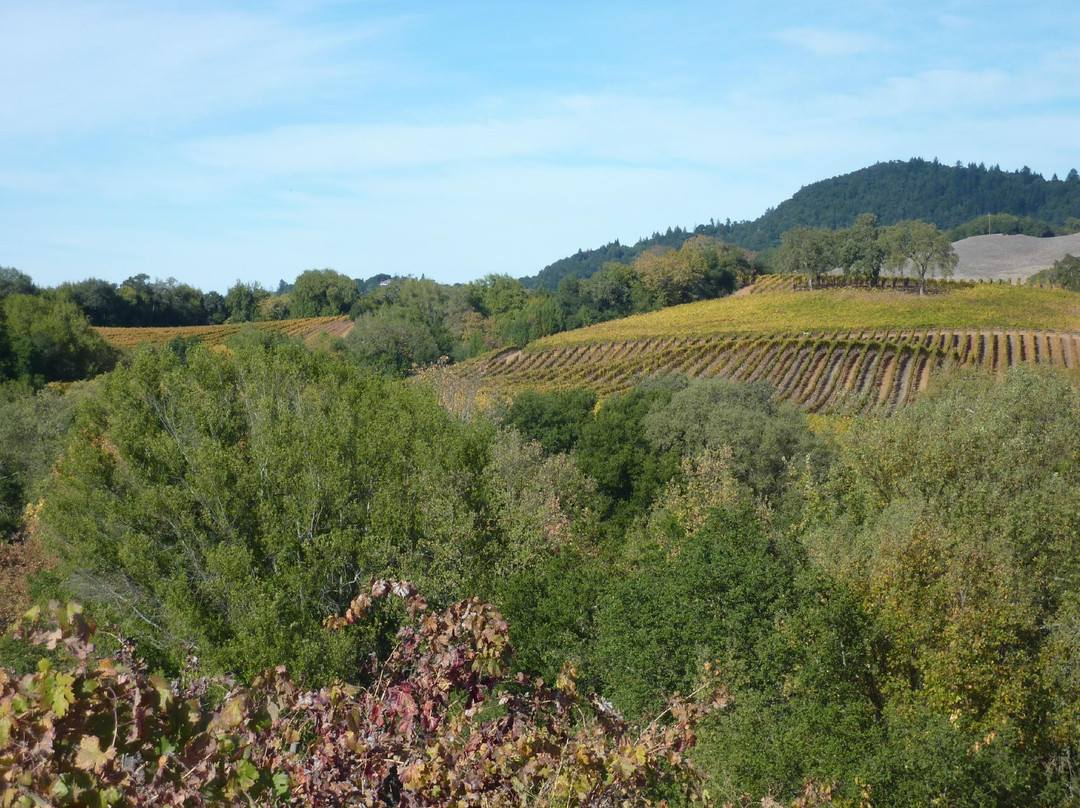 Christopher Creek Winery景点图片