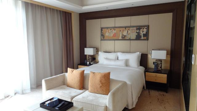 西安富力希尔顿酒店（钟鼓楼明城墙店）-客卧