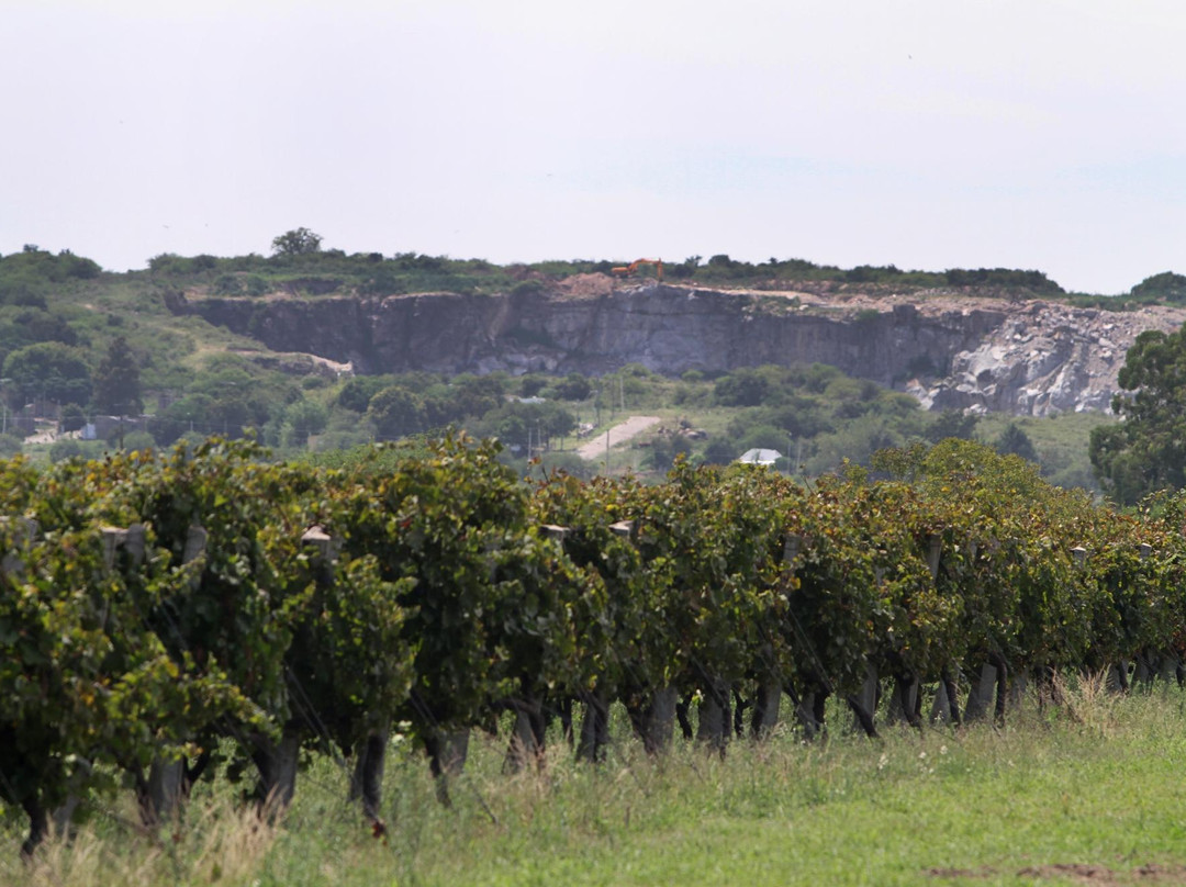 Bodega Familia Irurtia-Carmelo必去景点