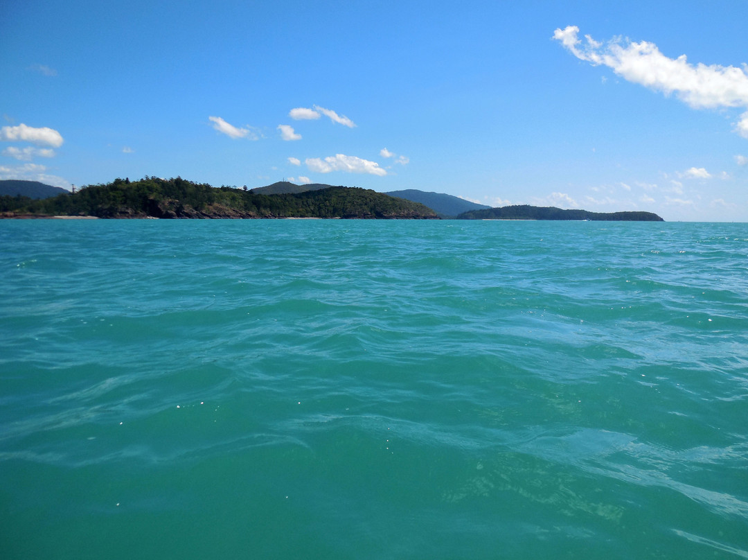 Salty Dog Sea Kayaking - Day Tours-舒特港必去景点