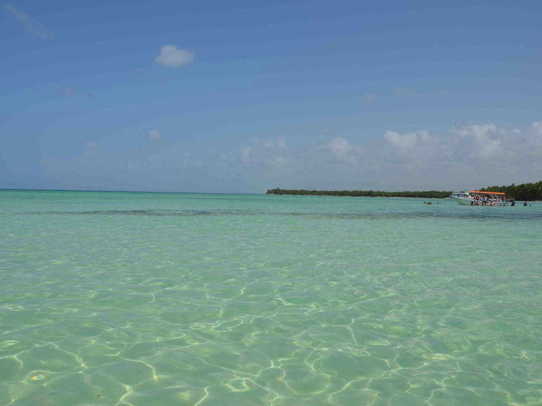 Playa Mariposa景点图片