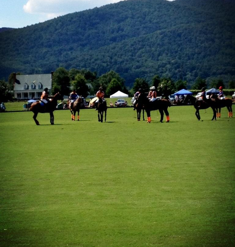 King Family Vineyards-Crozet必去景点