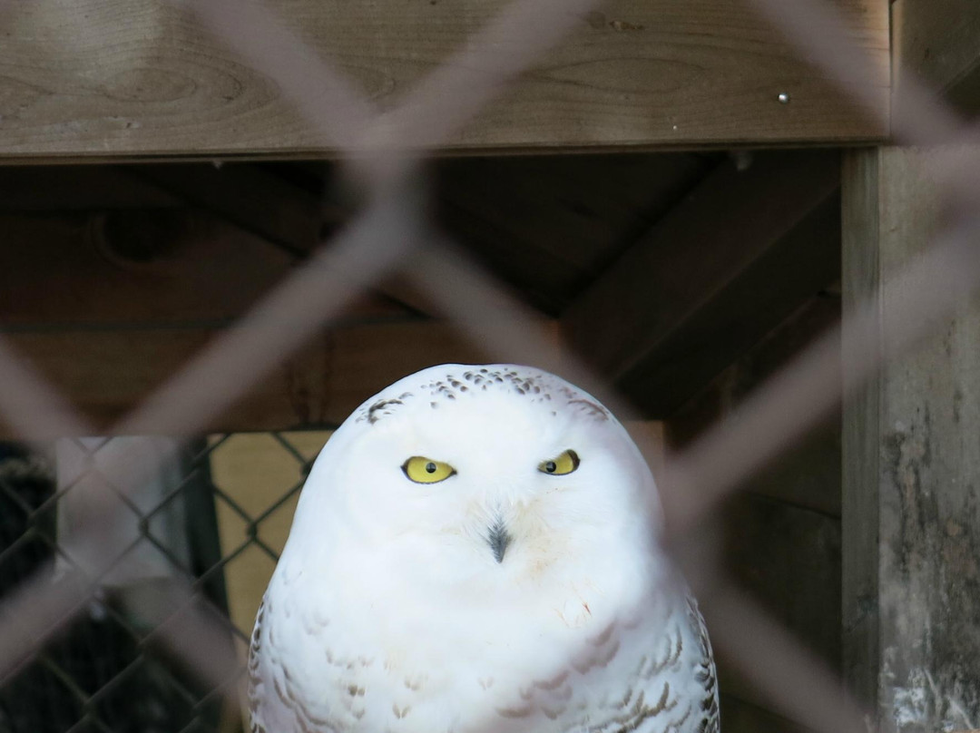 Suzaka City Zoo-须坂市必去景点