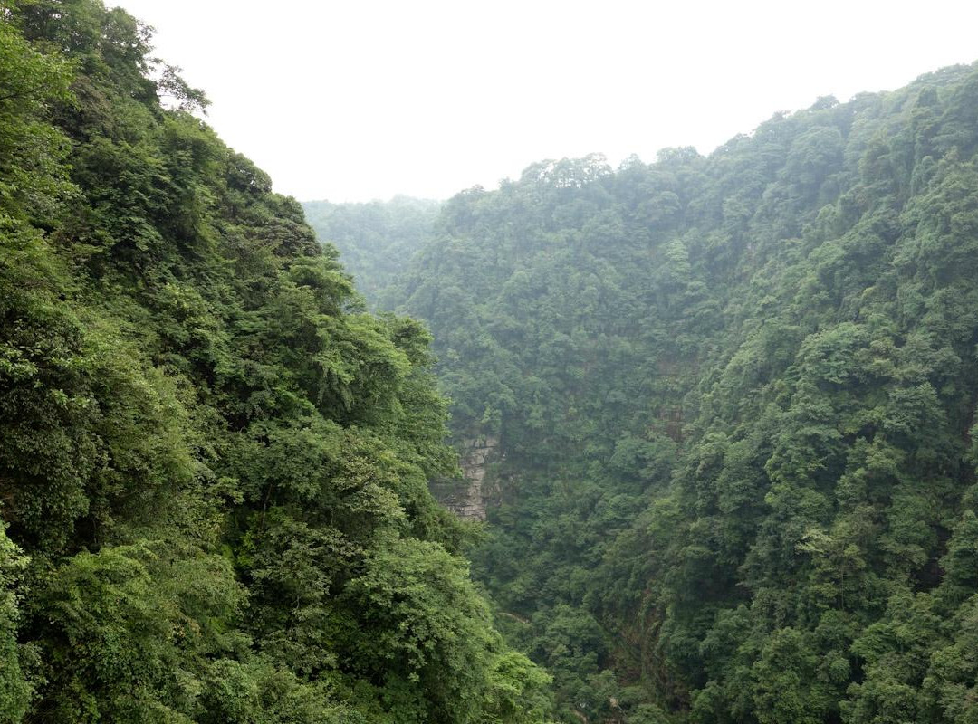 雅安碧峰峡-雅安市必去景点