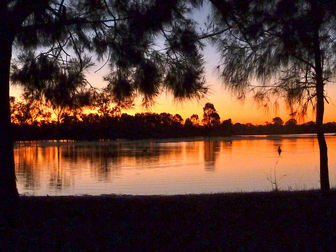 洛坎普顿植物园及动物园-罗克汉普顿必去景点