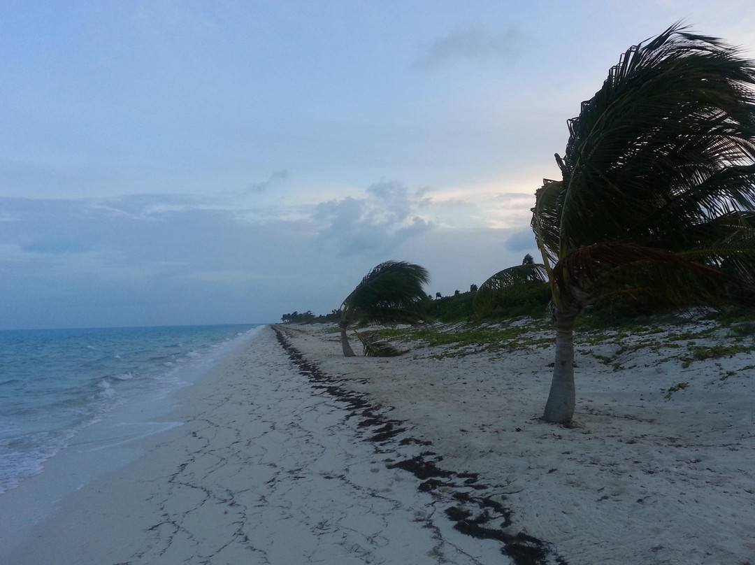 Long Bay Beach-普罗维登西亚莱斯必去景点