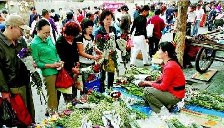 Xi'an Tour Guide的一日游-西安市必去景点