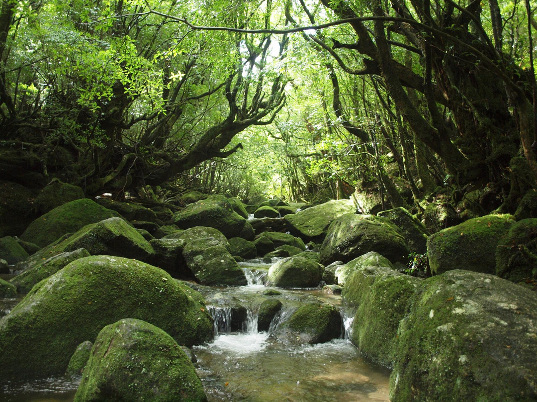 白谷云水峡景点图片