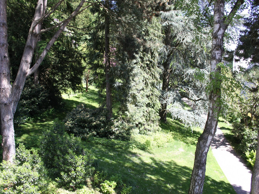 Aparthotel Stadtgarten主图