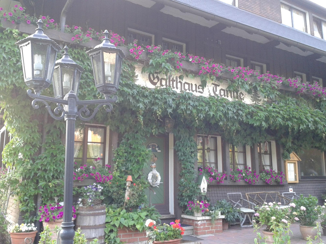 Gasthaus & Pension Tanne主图