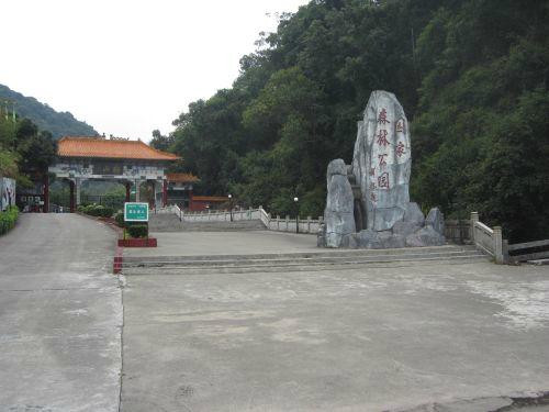 桂山原始森林景点图片