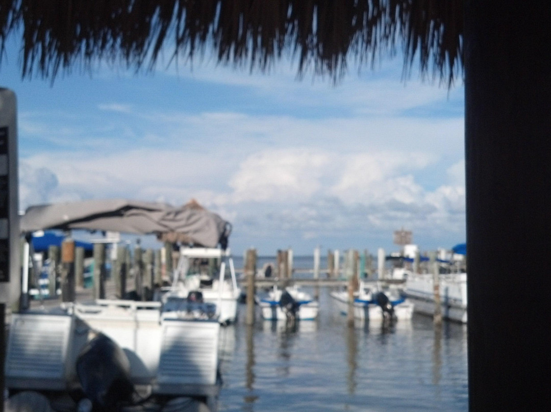 Jensen's Marina Boat Rentals-俘虏岛必去景点