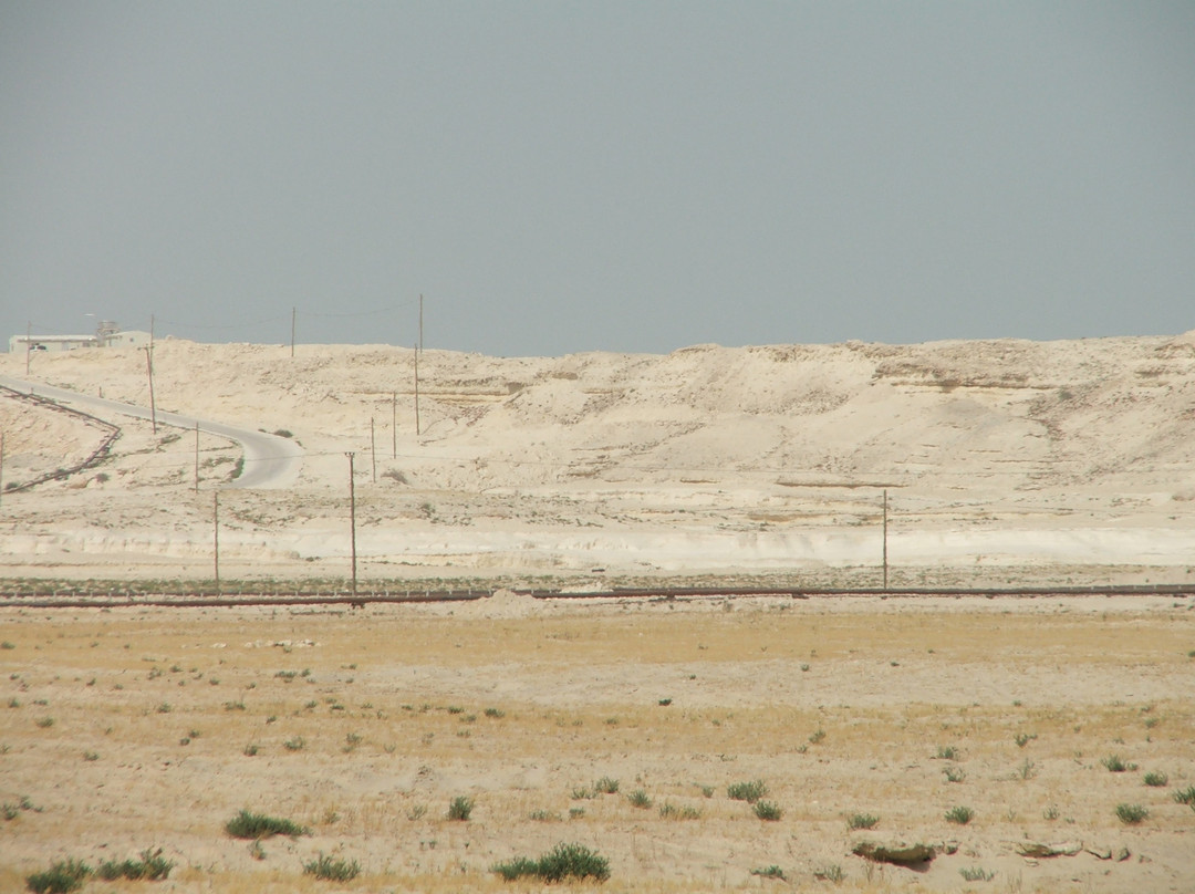 Tree Of Life-麦纳麦必去景点