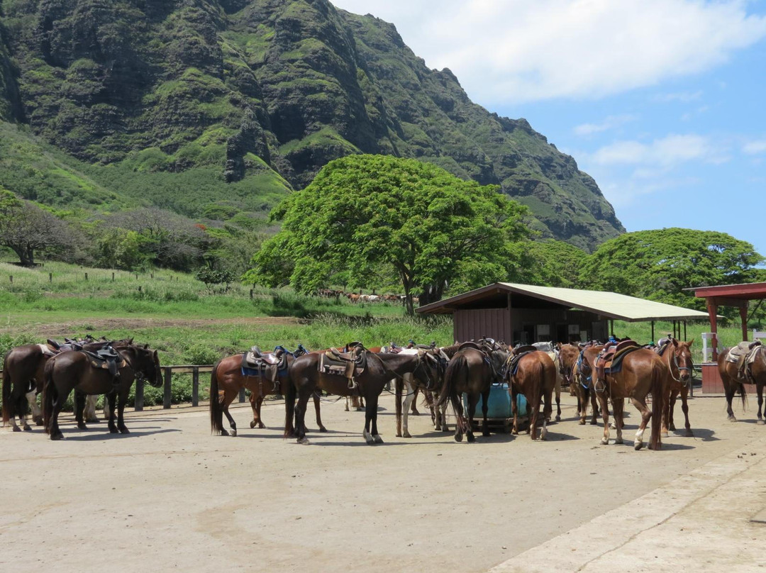 夏威夷古兰尼牧场-卡内奥赫必去景点