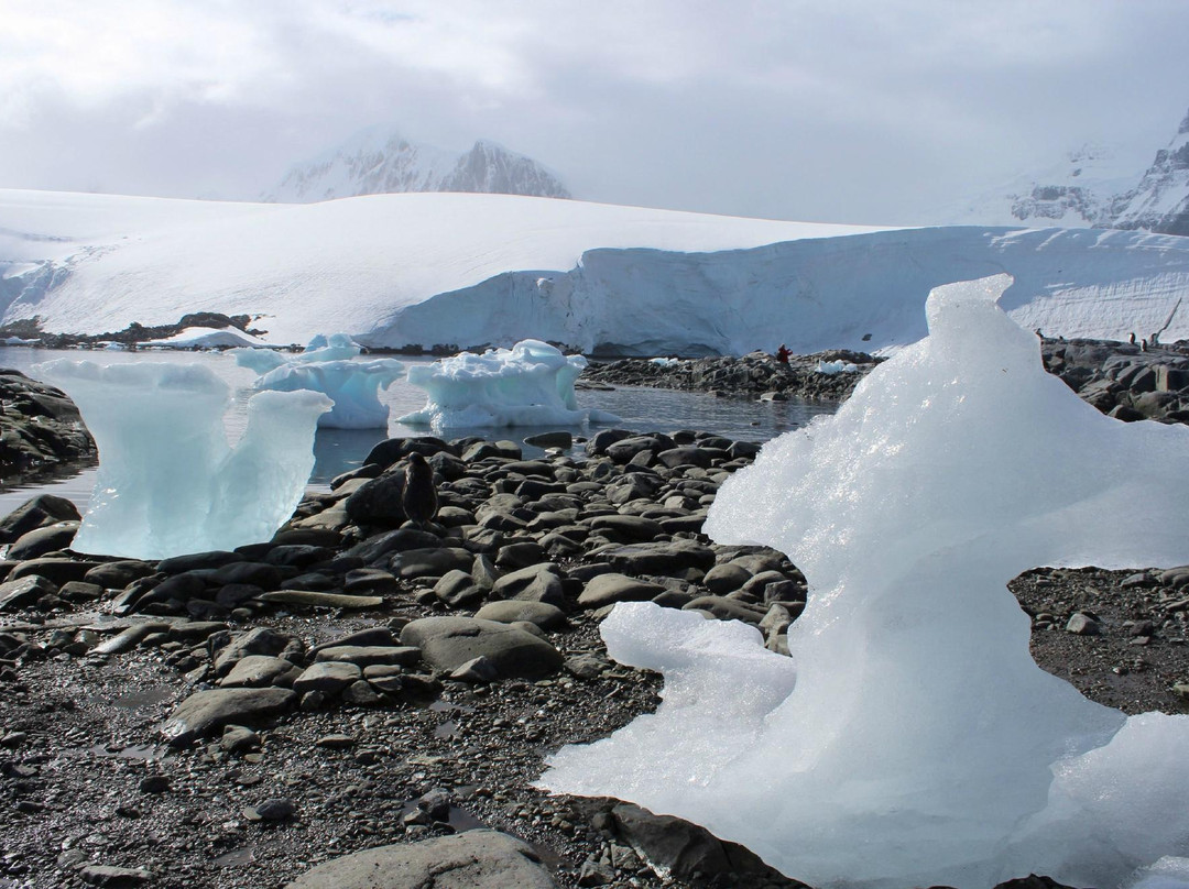 Port Lockroy旅游攻略图片