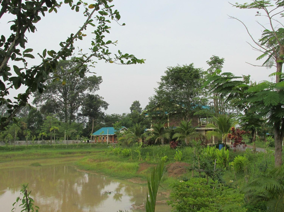 I Din Lake View Resort主图