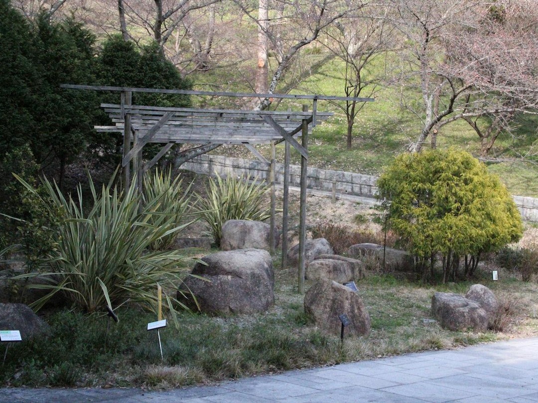 Handayama Botany景点图片