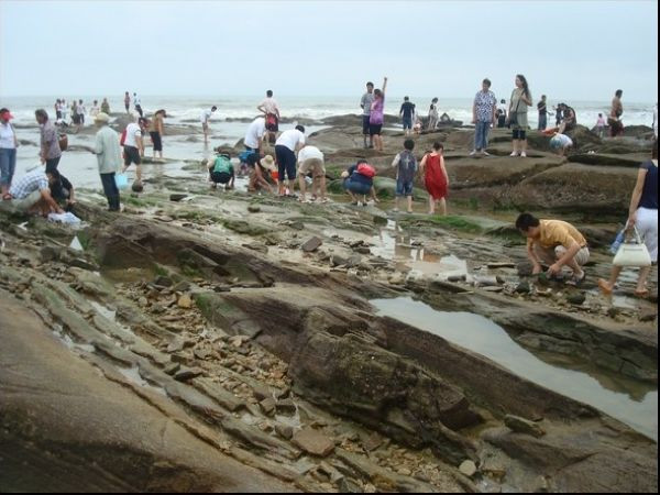 日照鑫瑞渔家主图