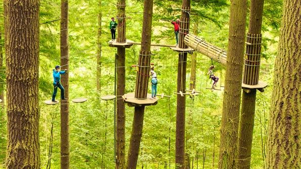 Go Ape Moors Valley景点图片
