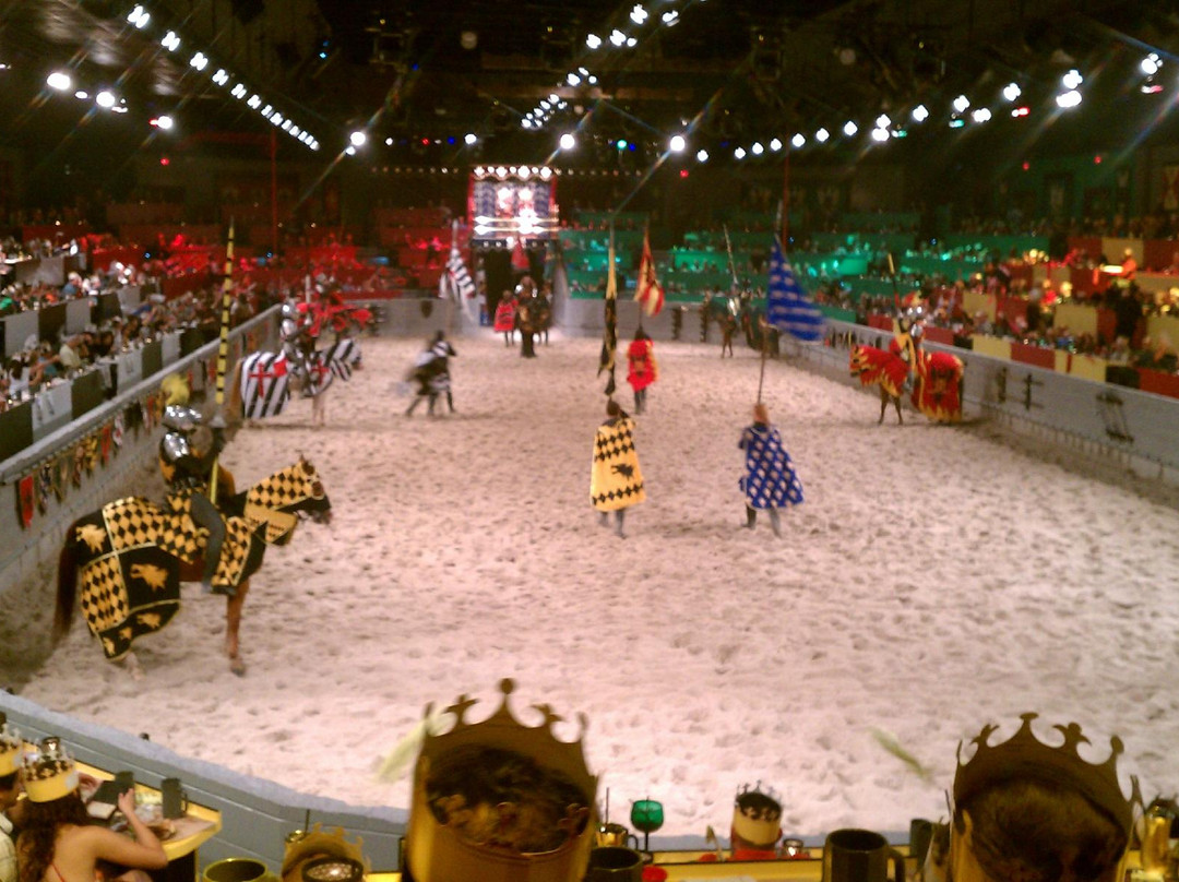 Medieval Times Dinner & Tournament-达拉斯必去景点