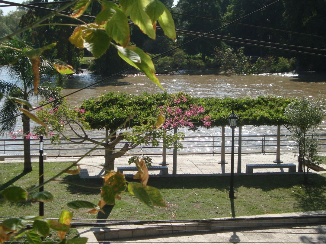 Petit Hostel Frente al Rio主图