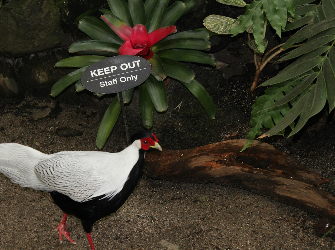 布鲁代尔花鸟保护园-温哥华必去景点