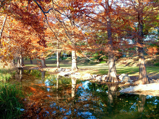 Morning Glory House Bed & Breakfast主图
