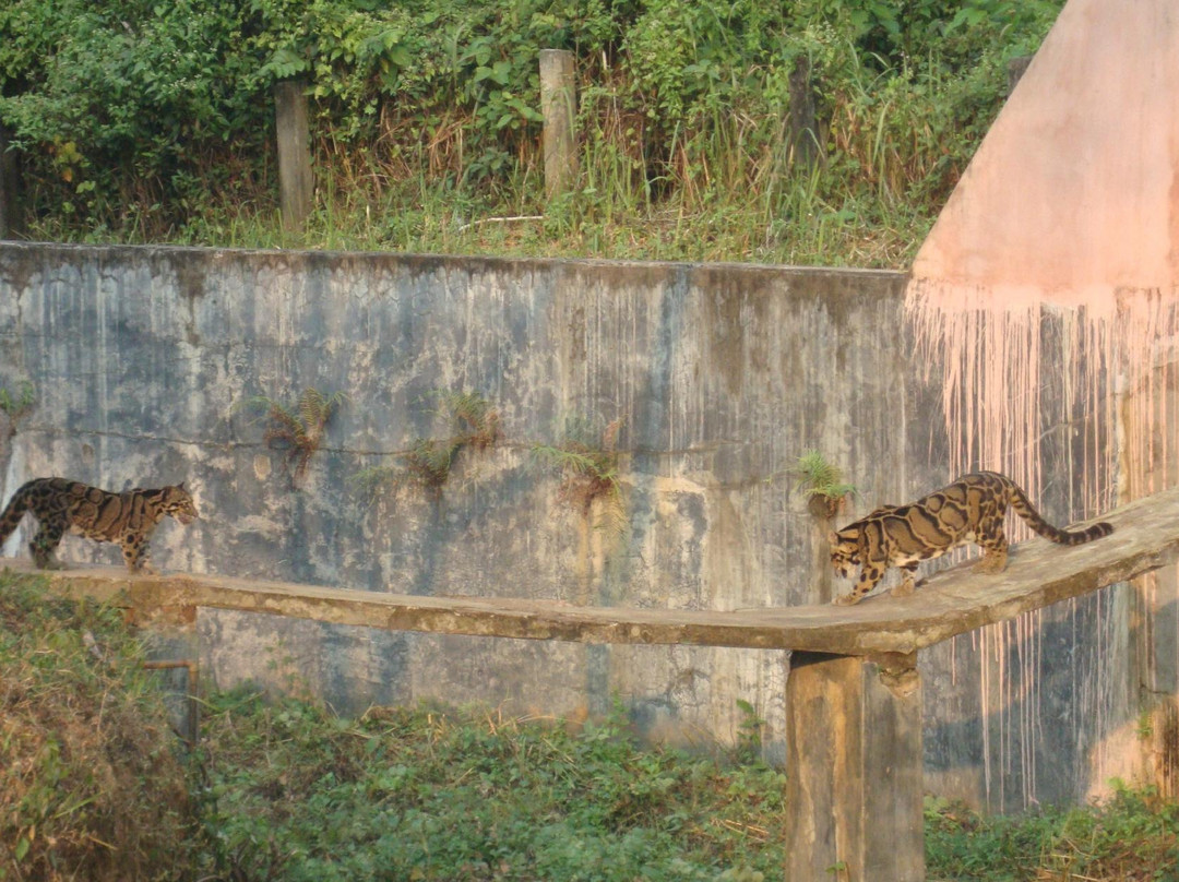Sepahijala Wildlife Sanctuary景点图片