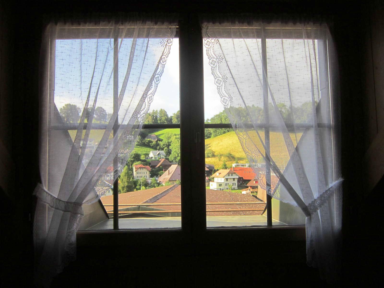 Hotel Kleiner Prinz-酒店景观