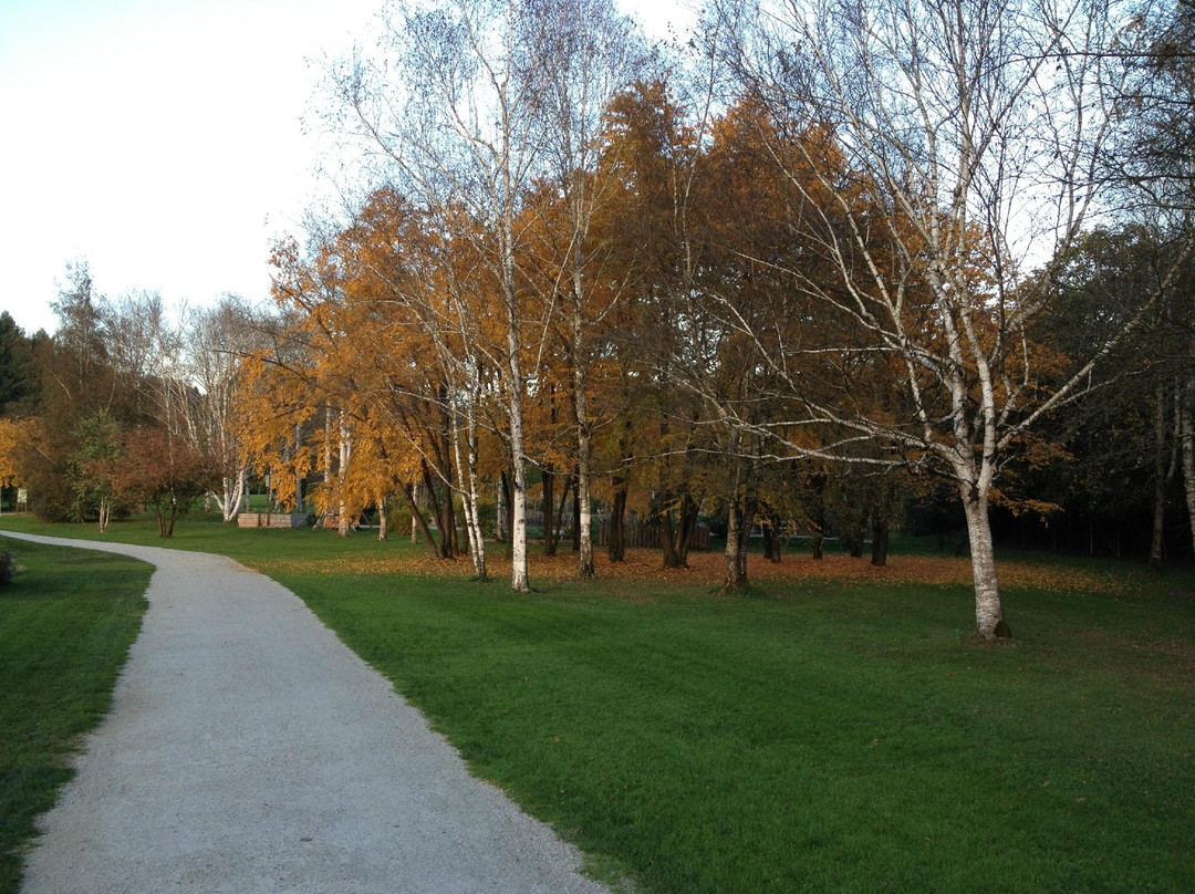 Arboretum Volcji Potok景点图片