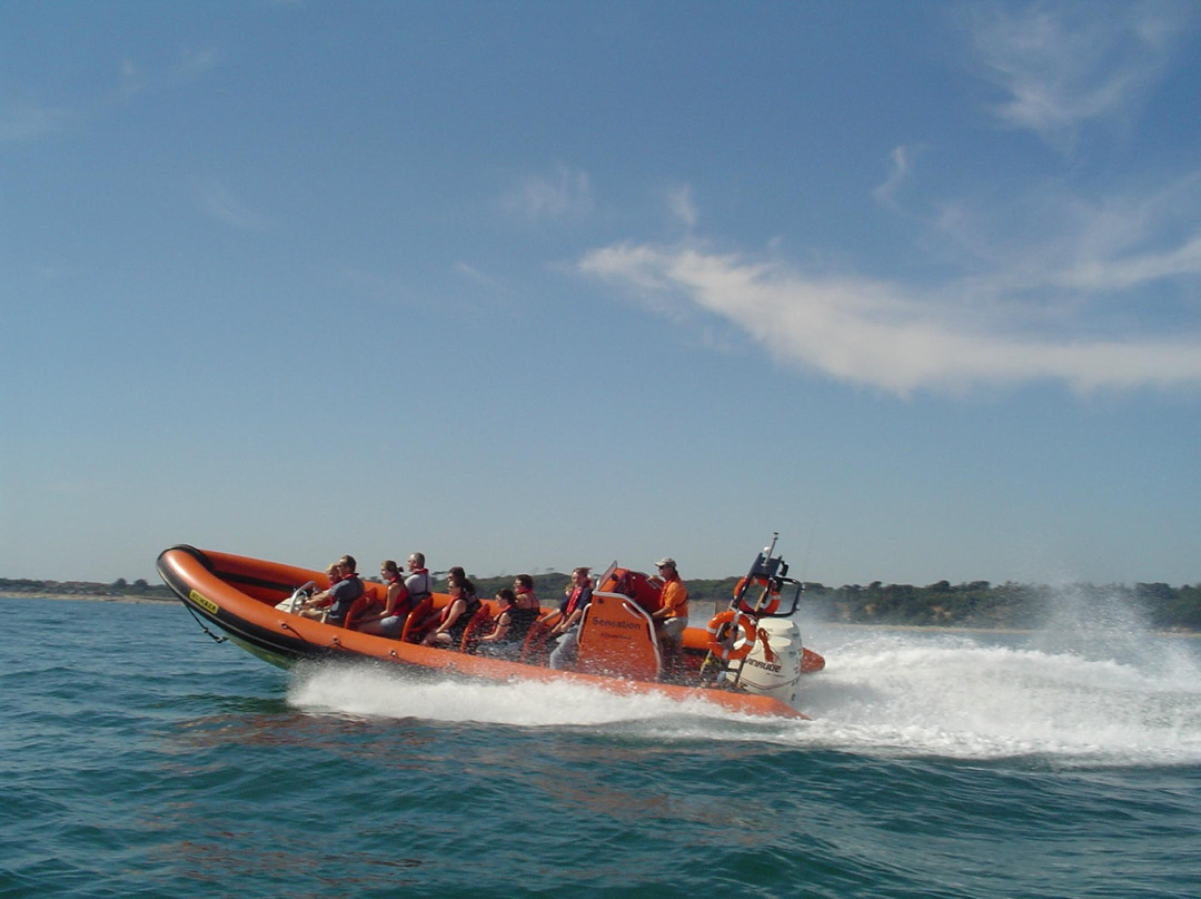 Adventure Voyages-基督城必去景点