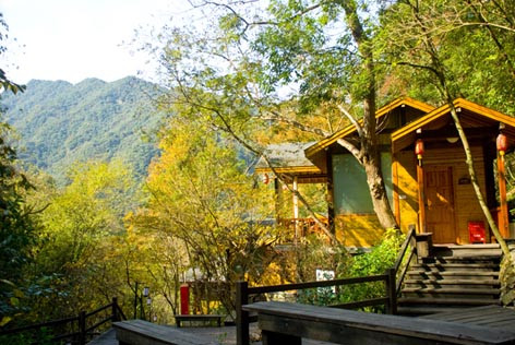 森林温泉度假村主图