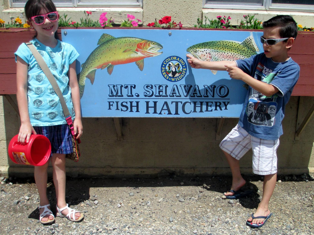 Mt. Shavano Fish Hatchery-萨利达必去景点