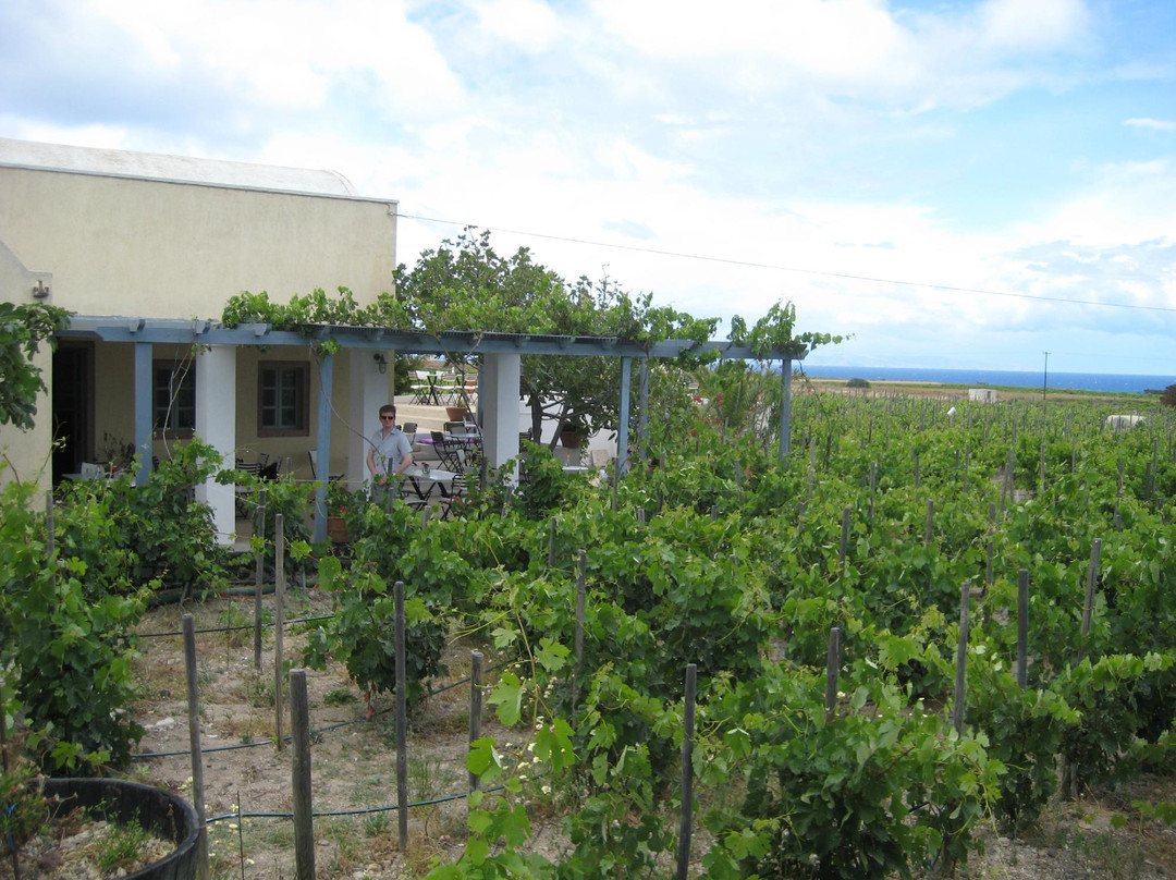 Domaine Sigalas景点图片
