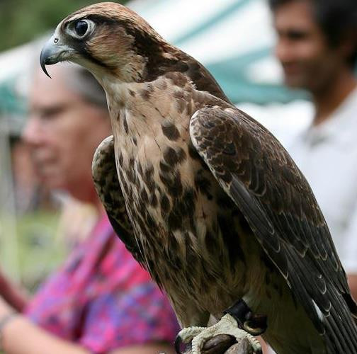 Sharon Audubon Center-Sharon必去景点