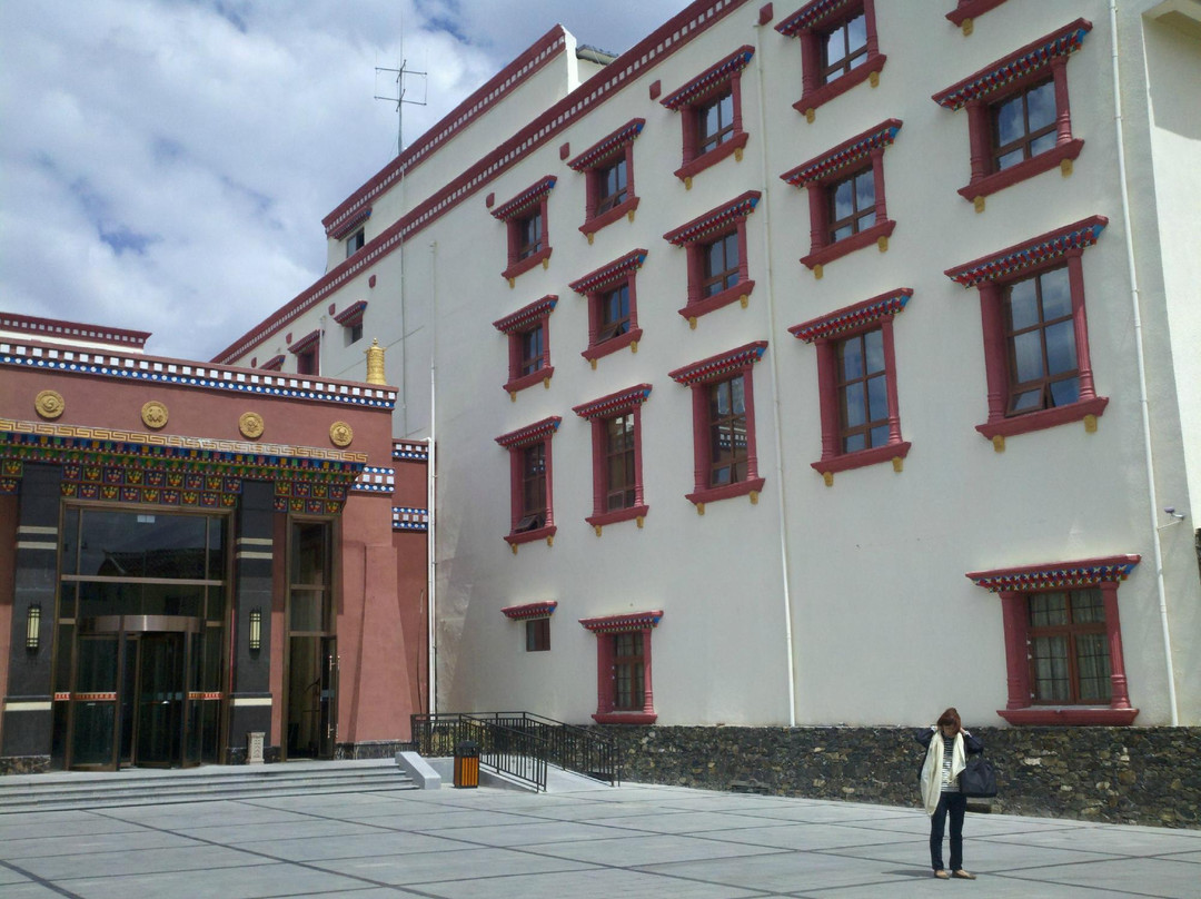 嘉绒鑫宫大酒店主图