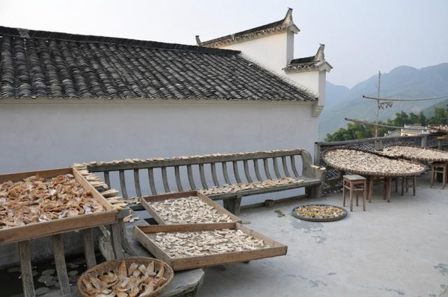 木坑村-黟县必去景点