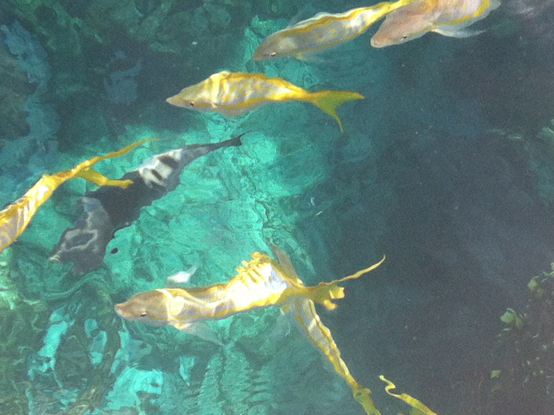 Sombrero Reef-马拉松必去景点