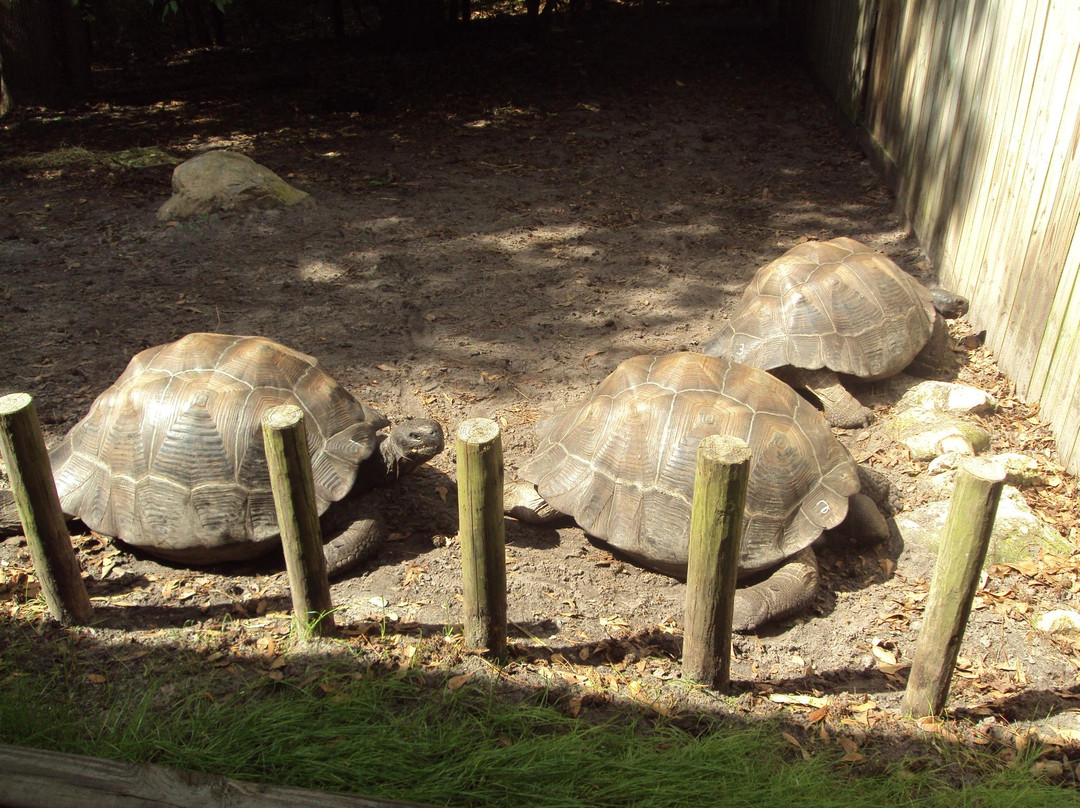 Santa Fe College Teaching Zoo-盖恩斯维尔必去景点