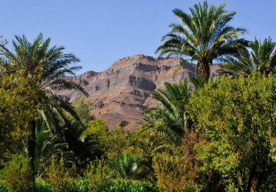 沙漠之梦旅行社-瓦尔扎扎特必去景点