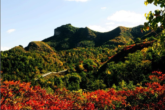 承德文冠饭店 主图